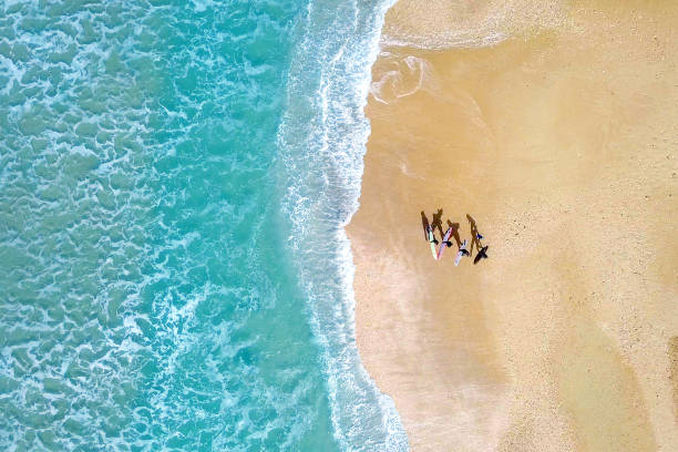 istock Small group of wave surfers and surf boards 1128604681