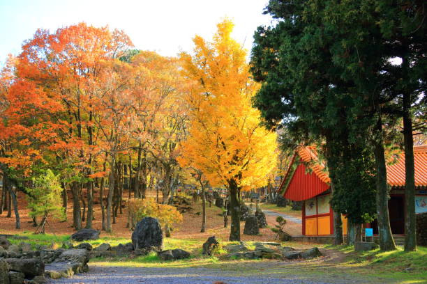 istock GWANEUMSA, autumn, autumn leaves, 1128604790