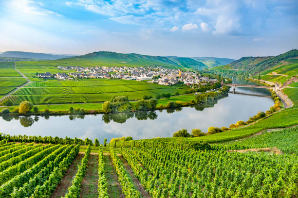 istock famous Moselle Sinuosity with vineyards 1128604840