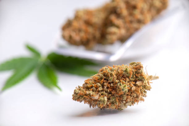 istock Medical marijuana concept with dry cannabis buds and leaf 1128604899