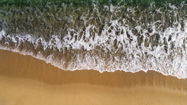 istock Top view landscape scene of waves crashing on empty tropical beach 1128608088