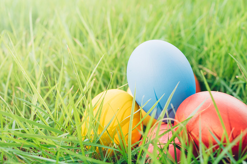 Easter eggs on green grass with mint green wall background