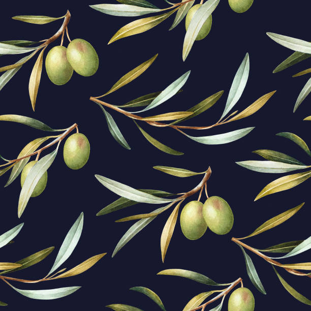 bezszwowy wzór z zielonymi gałązkami oliwnych. - olive green illustration and painting backgrounds watercolor painting stock illustrations