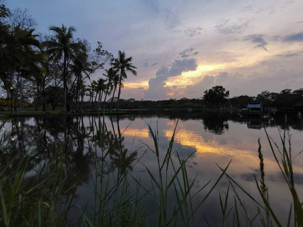 istock Beautiful garden lake at twilight time 1128616099