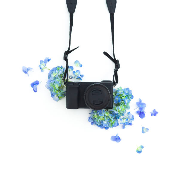 istock Concept with photo camera and blue flowers on white background. Flat lay, top view. 1128619130