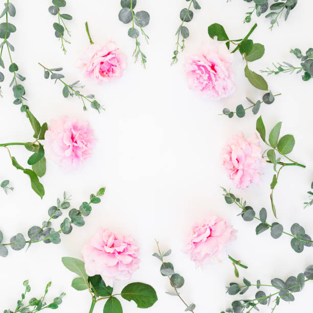 istock Frame of pink roses flowers and eucalyptus branches on white background. Flat lay, top view. Valentines day 1128619184