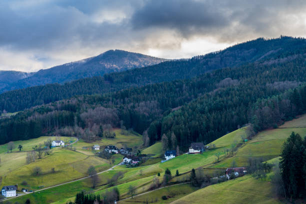 istock Germany, Houses in black forest mountains covered by trees 1128619374