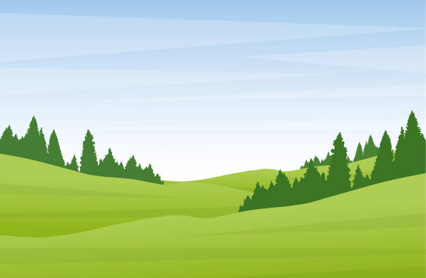 ベクトル イラスト: 緑の丘陵と松林にフラット漫画夏の風景。 - valley green grass landscape点のイラスト素材／クリップアート素材／マンガ素材／アイコン素材