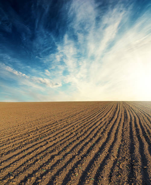 istock black plowed field and sunset in blue sky with clouds 1128620560