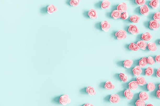 Flowers composition. Pink rose flowers on pastel blue background. Valentines day, mothers day, womens day, spring concept. Flat lay, top view, copy space Flowers composition. Pink rose flowers on pastel blue background. Valentines day, mothers day, womens day, spring concept. Flat lay, top view, copy space rose colored photos stock pictures, royalty-free photos & images