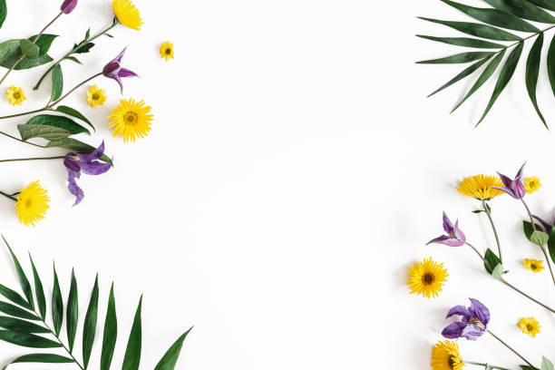 istock Flowers composition. Yellow and purple flowers on white background. Spring, easter concept. Flat lay, top view, copy space 1128622555