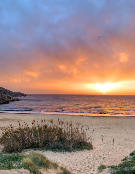 istock Ocean view at sunset over the sand dunes 1128623948
