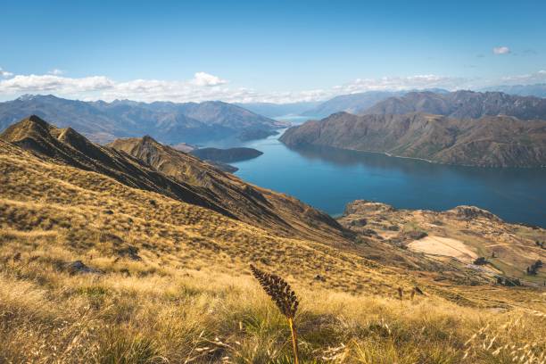 istock Rois Peak View on New Zealand Landscape 1128624013