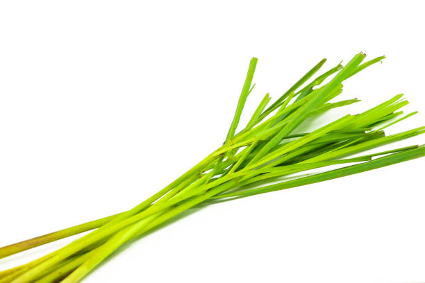 istock lemongrass lemon grass isolated 1128626776