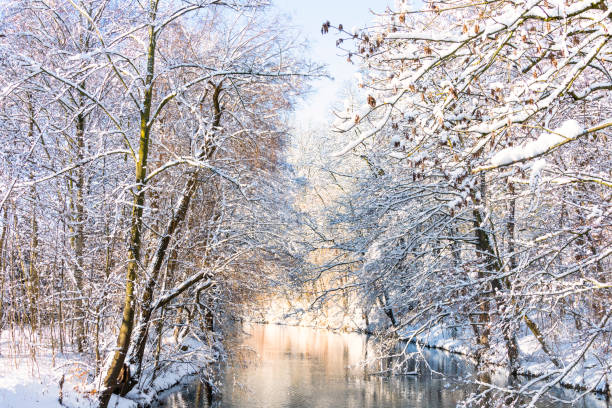 istock Winter Impressions with morning sun from Chemnitz Stadtpark and river Chemnitz 1128629659