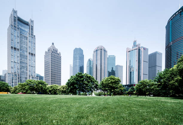 istock Green city park, Shanghai 1128629787