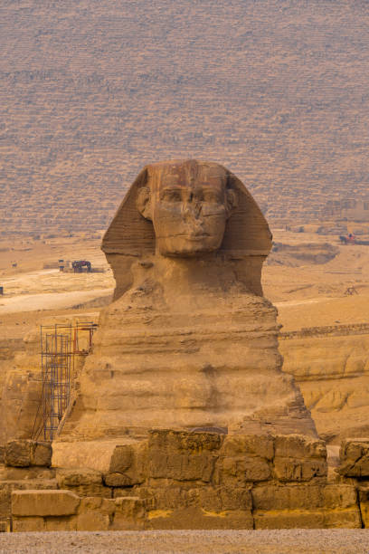 sphinx de gizeh, le caire - africa archaeology architecture bedouin photos et images de collection