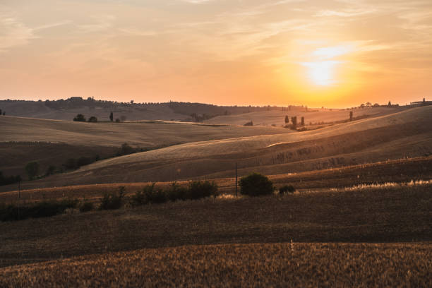 istock Tuscany Landscape At Sunset 1128631981