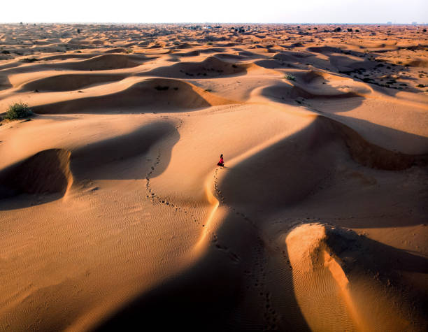 woman walking in the desert aerial view - sahara desert imagens e fotografias de stock