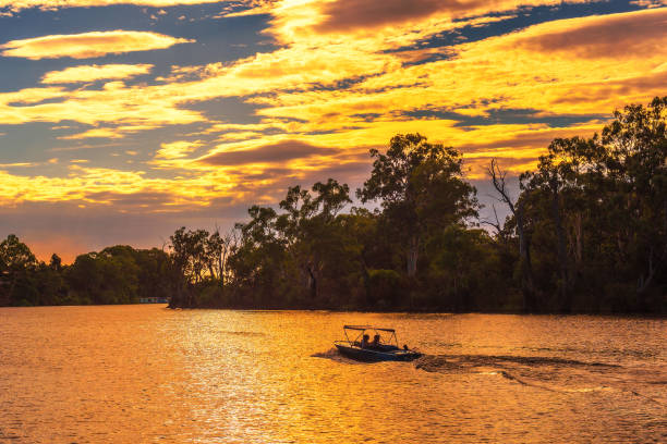 закат над рекой мюррей на лодке в милдуре, австралия - rainforest forest river australia стоковые фото и изображения