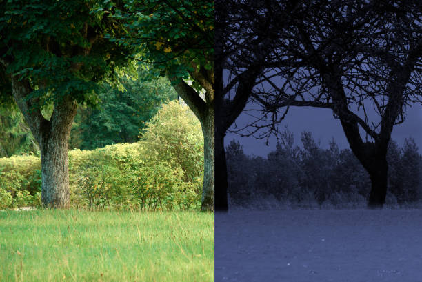 istock Concept of climate change, seasonality, drought and crop. 1128635954