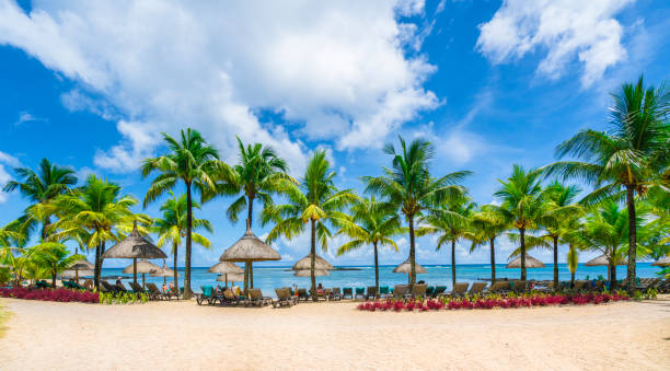 istock Tropical scenery of Mauritius 1128636029