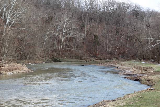 istock View of Stream in Forest 1128641335