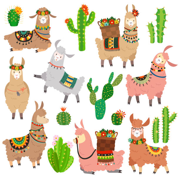 illustrations, cliparts, dessins animés et icônes de cactus de lama. chili lamas alpaga et cactus sauvage lama. chameau de pérou, scrapbook fille enfants éléments funny cartoon vector ensemble - couleur chameau