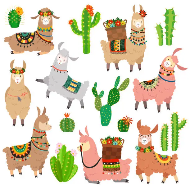Vector illustration of Llama cactus. Chile llamas alpaca and cacti wild lama. Peru camel, girl scrapbook kids funny elements cartoon vector set
