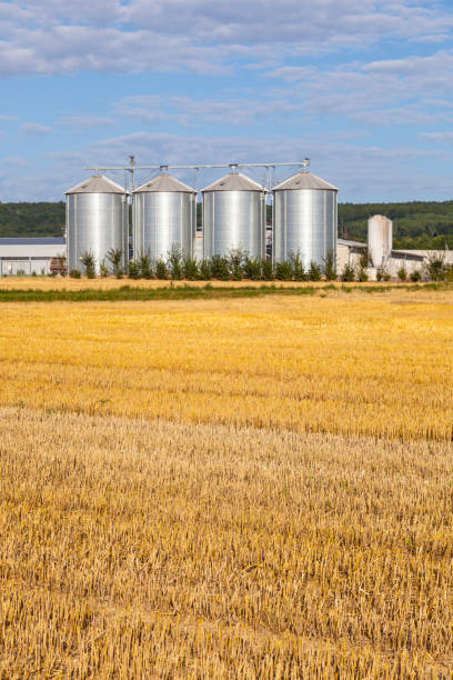 istock four silver silos in the field after the harvest 1128647418