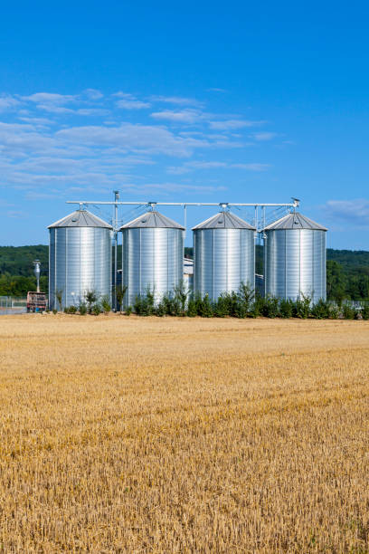 istock four silver silos in the field after the harvest 1128647567