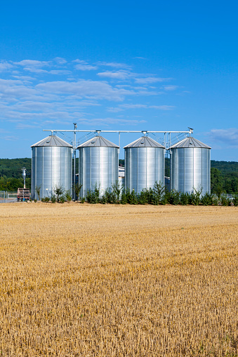 four silver silos in the field after the harvest under blue sky