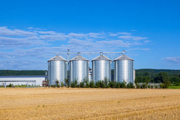 istock four silver silos in the field after the harvest 1128649074