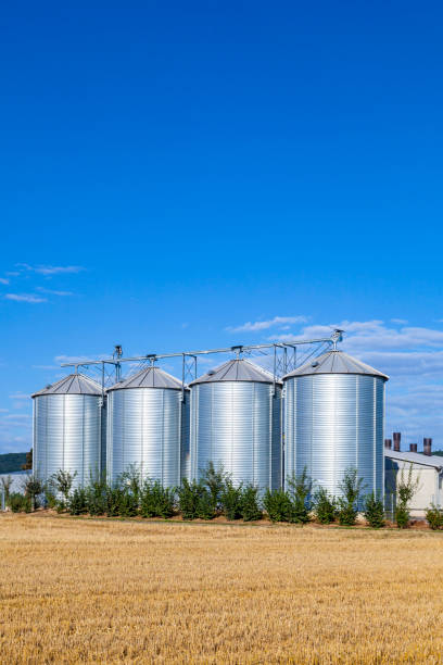istock four silver silos in the field after the harvest 1128649906