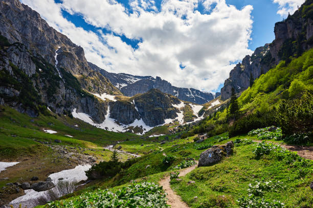 amazing view in Carpathian mountains horizontal nature background in Carpathian mountains in early spring day. carpathian mountain range stock pictures, royalty-free photos & images