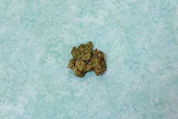 Cannabis nugs with mottled aqua background stock photo