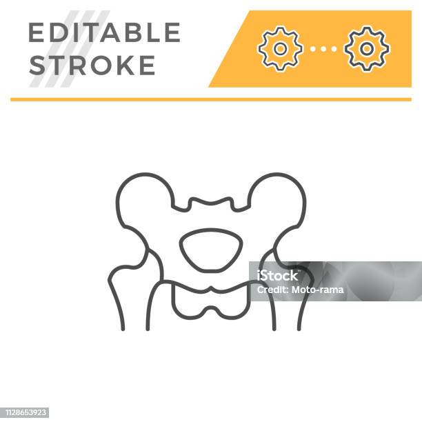 Pelvis Line Icon Stock Illustration - Download Image Now - Hip - Body Part, Icon Symbol, Anatomy