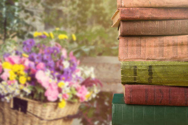 istock stack of books over the natural background 1128655636