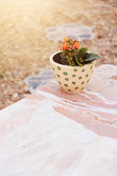 istock Beautiful flowers in a clay pot 1128655808