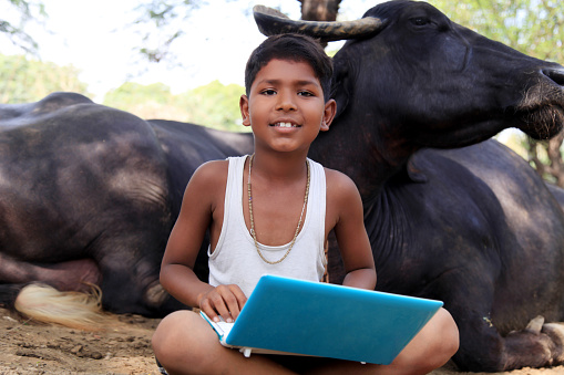 Cute little elementary age child sitting near water buffalo outdoor in nature & using laptop.