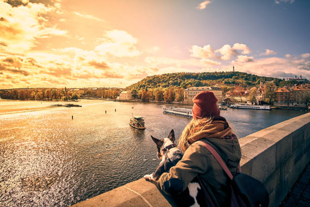 junge frauen-tourist mit ein hündchen und einem rucksack betrachten der touristenboot und schwäne segeln auf moldau von der karlsbrücke (karluv most) in prag, tschechische republik - charles bridge stock-fotos und bilder