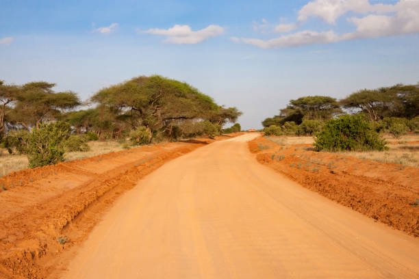 istock A way througth the savannah with a lot of plants 1128666743