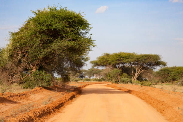 istock A way througth the savannah with a lot of plants 1128666746