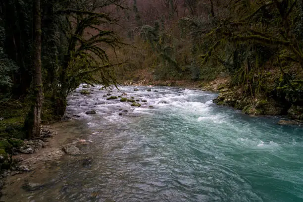 Mountain river called-Black River, with a beautiful landscape and rocky shores, flows in Abkhazia, in the mountainous part of Gudauta.