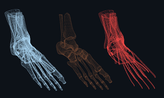 Simplehuman Foot Human Foot Stock Illustration - Download Image Now - Anatomy, Abstract ...