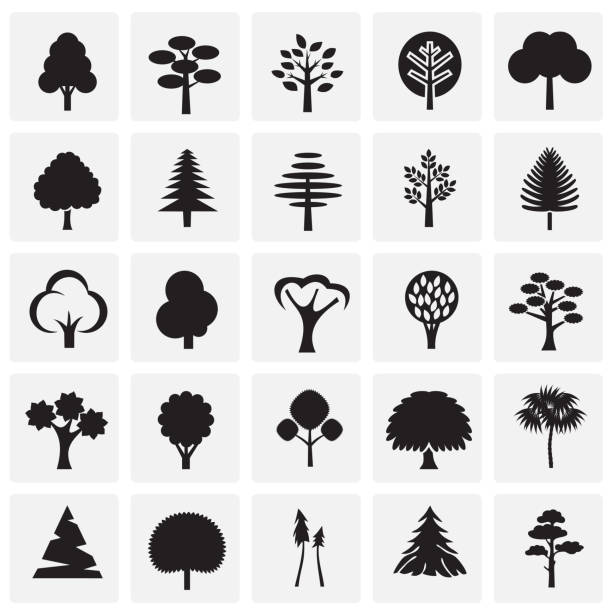ilustrações de stock, clip art, desenhos animados e ícones de trees icon set on squares background for graphic and web design, modern simple vector sign. internet concept. trendy symbol for website design web button or mobile app. - árvore