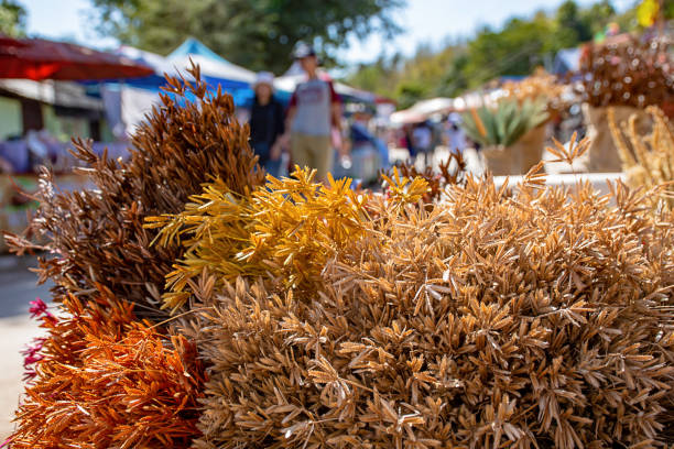 istock The dry grass for decoration in market. 1128674693