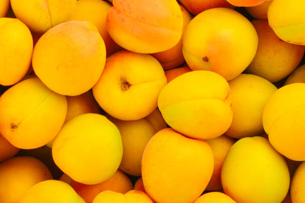 istock Ripe juicy orange apricots fruit background. 1128678189