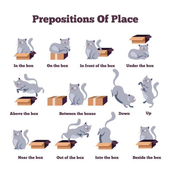 ilustrações de stock, clip art, desenhos animados e ícones de cute cat character in different poses with box. prepositions of place english. studying of foreign language concept. vector flat cartoon character isolated illustration - cat box