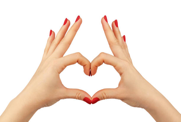 istock Heart in Hands on Isolated White Background 1128681446